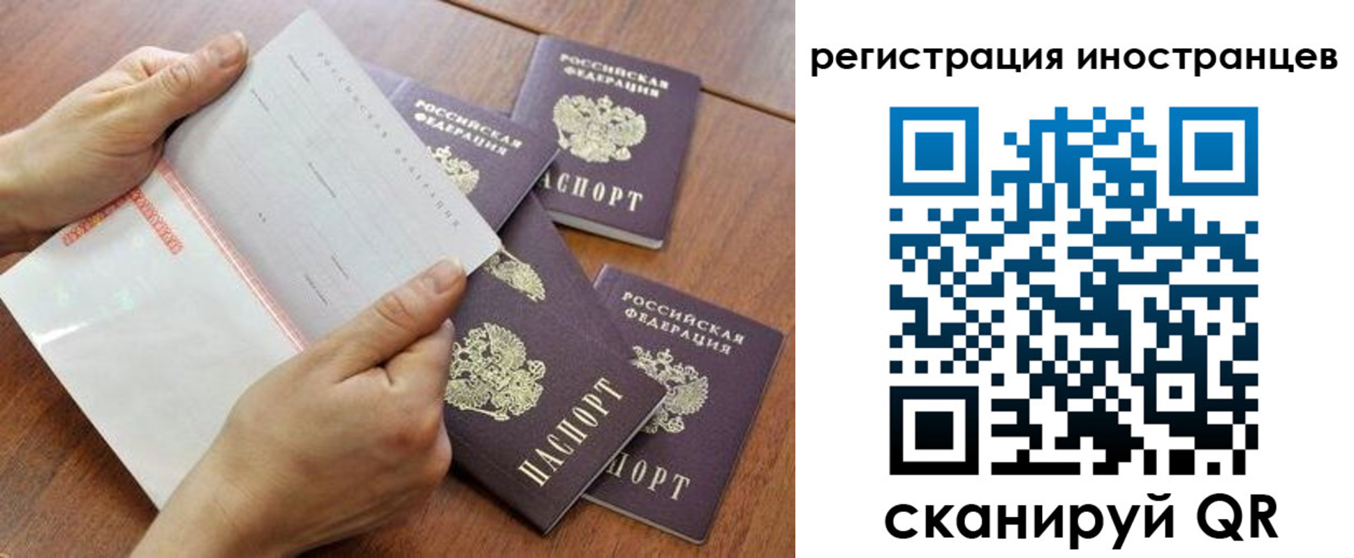 прописка поиск в Богородске